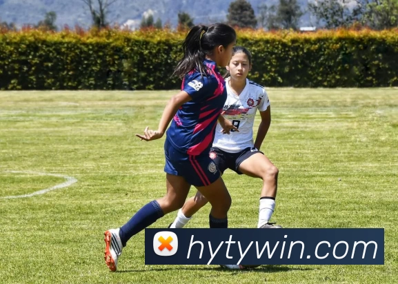 数据防护可视化